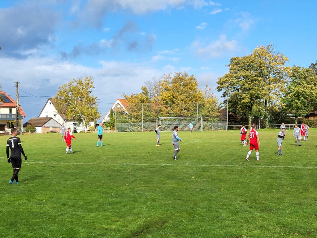 Neusatz Sportplatz